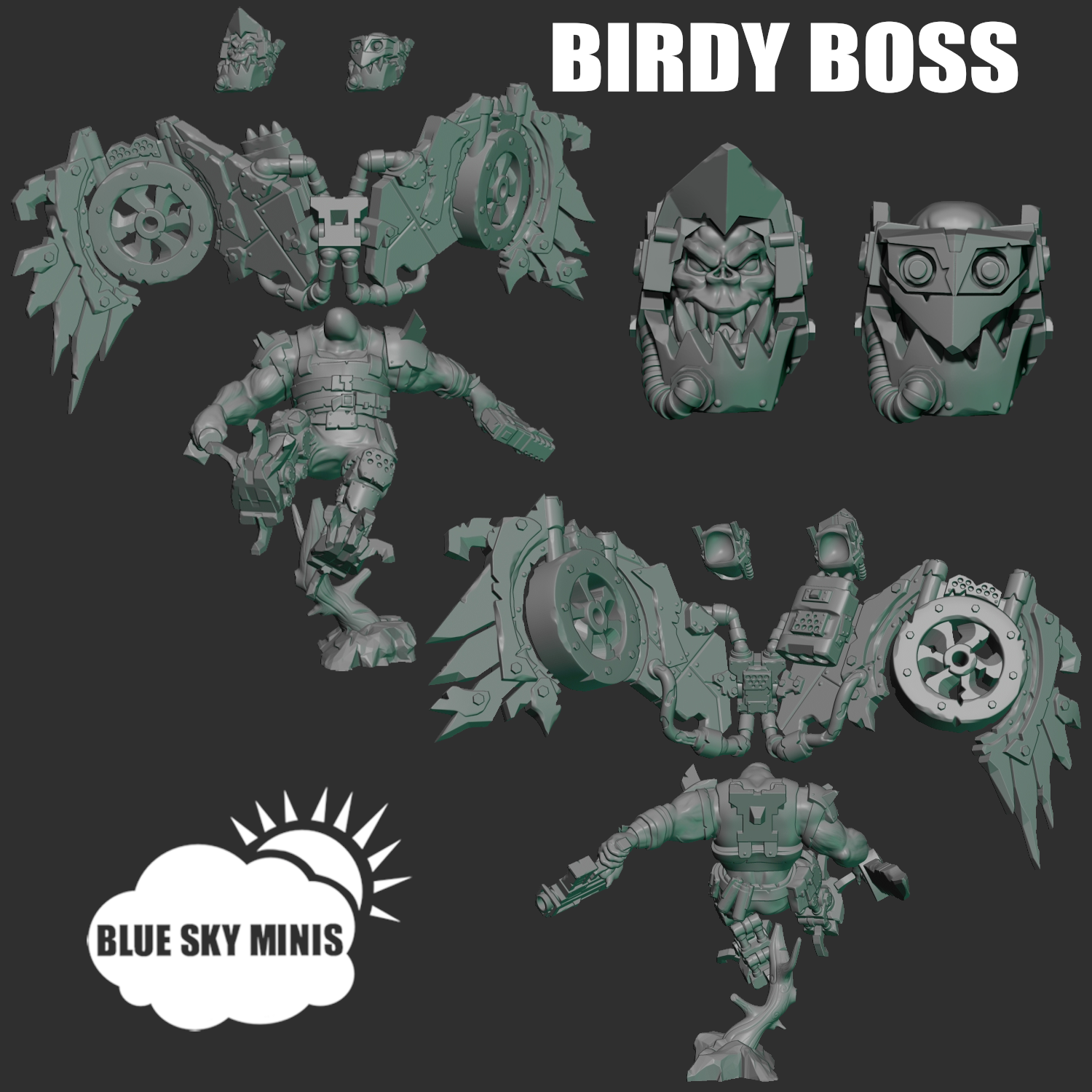 BIRDY BOSS STORE IMAGE PARTS